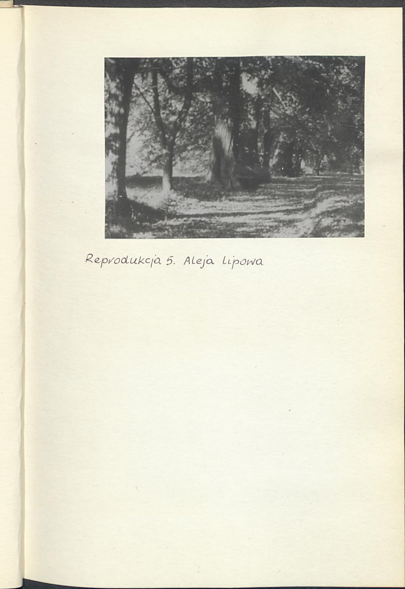 Ewidencja parkowa, skan nr 15