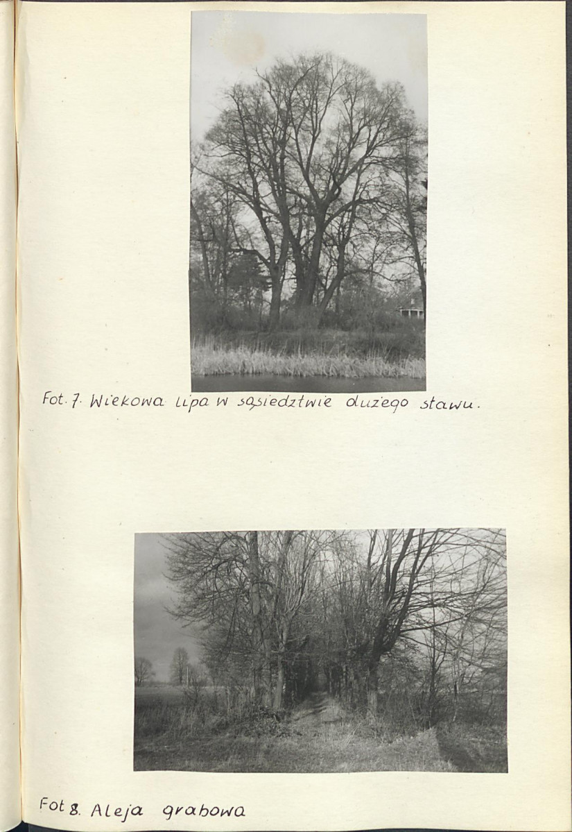 Ewidencja parkowa, skan nr 25