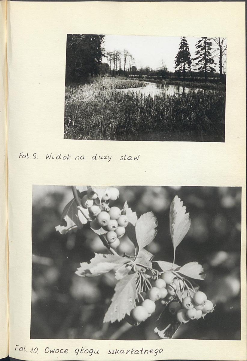 Ewidencja parkowa, skan nr 26