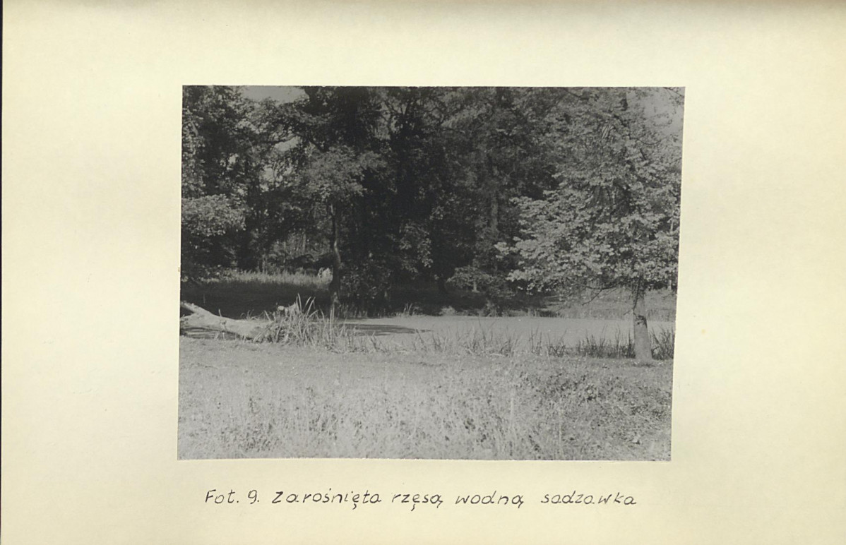 EP - Ewidencja parkowa, skan nr 34