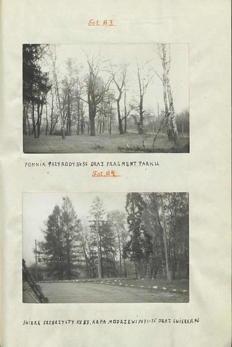 Ewidencja parkowa, skan nr 24