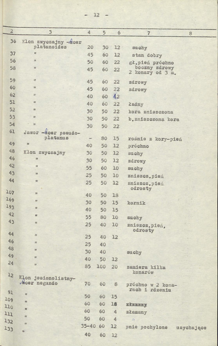 Ewidencja parkowa, skan nr 19