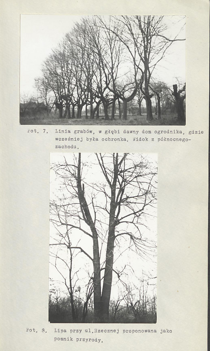 Ewidencja parkowa, skan nr 33
