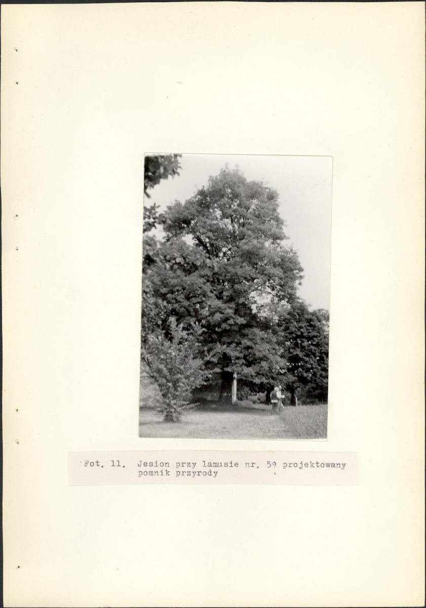 Ewidencja parkowa, skan nr 25