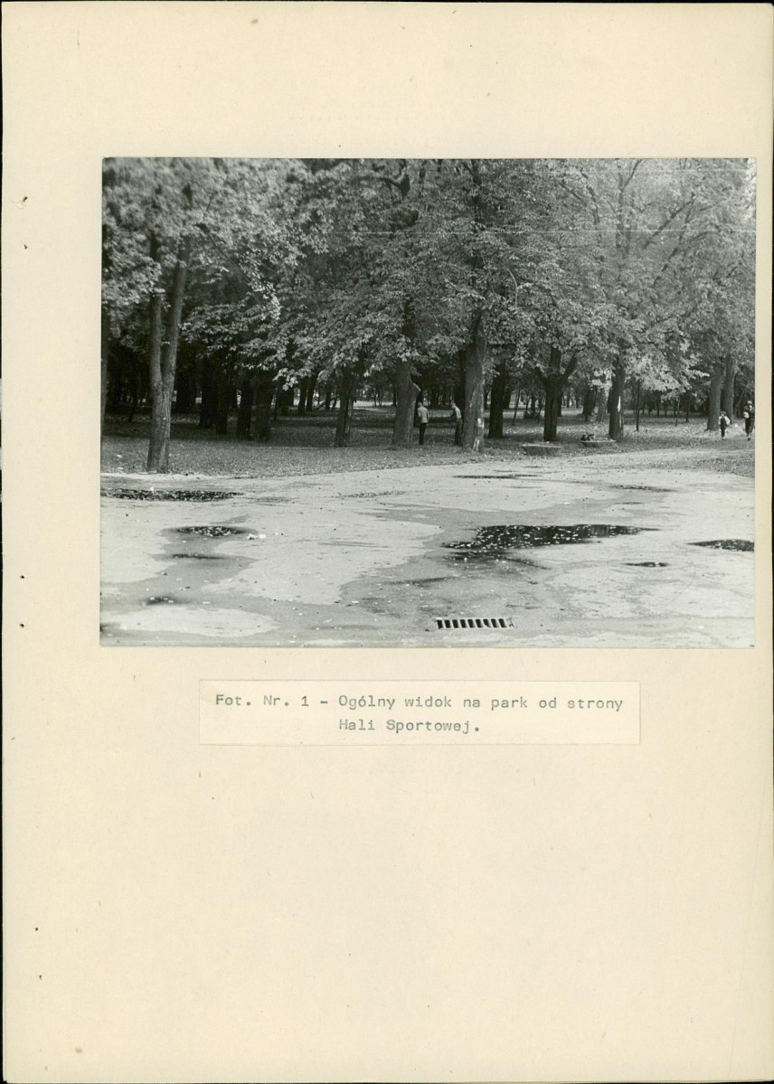 EP - Ewidencja parkowa, skan nr 21