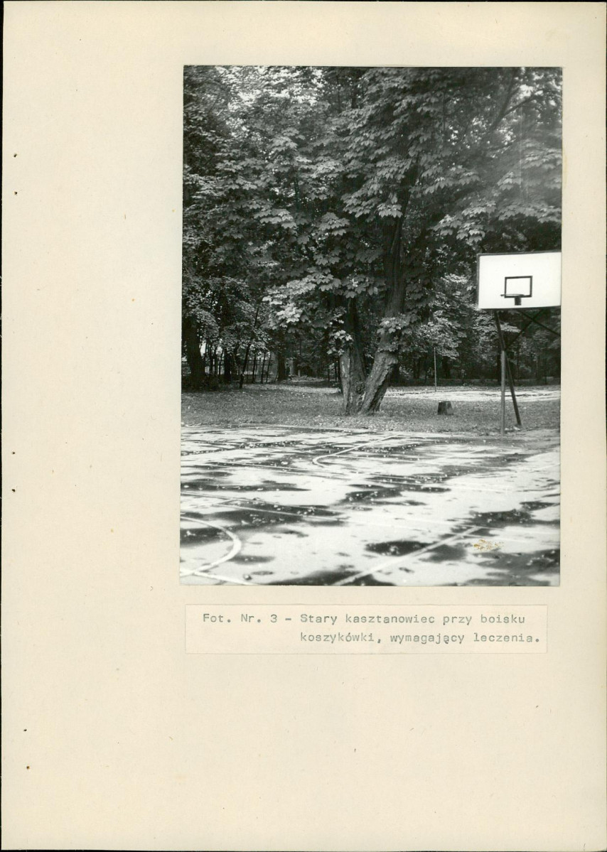 EP - Ewidencja parkowa, skan nr 22