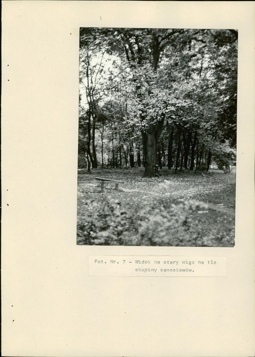 EP - Ewidencja parkowa, skan nr 26