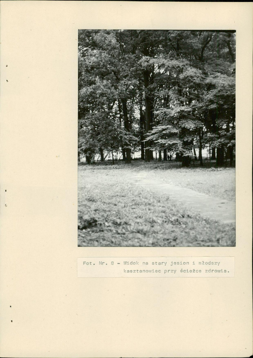 EP - Ewidencja parkowa, skan nr 27