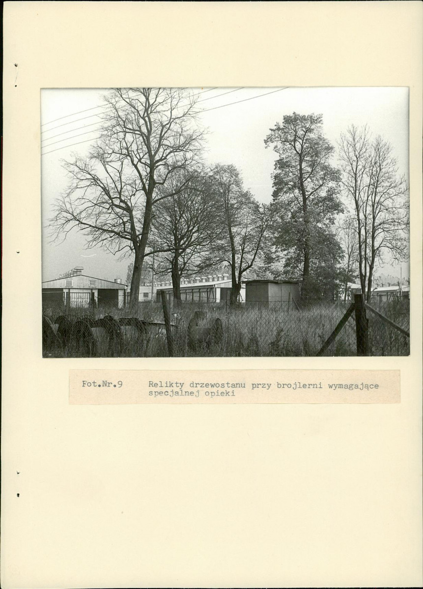 EP - Ewidencja parkowa, skan nr 32