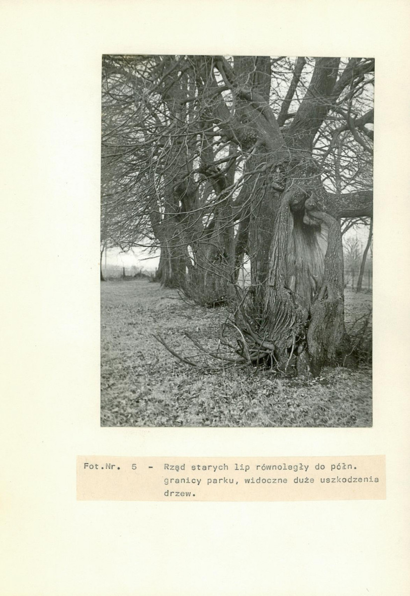 Ewidencja parkowa, skan nr 25