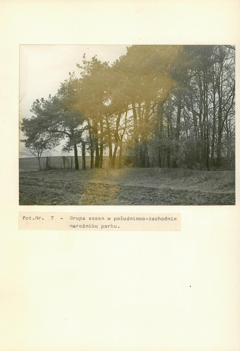 Ewidencja parkowa, skan nr 27