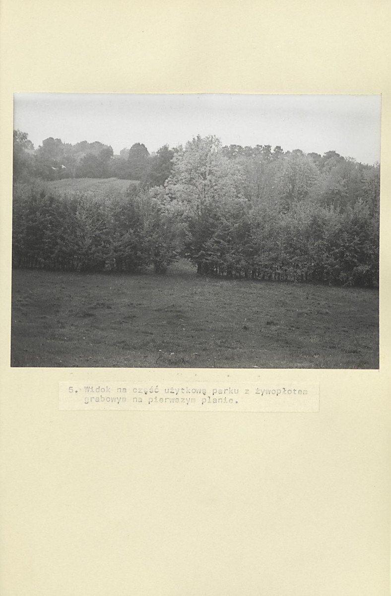 Ewidencja parkowa, skan nr 24