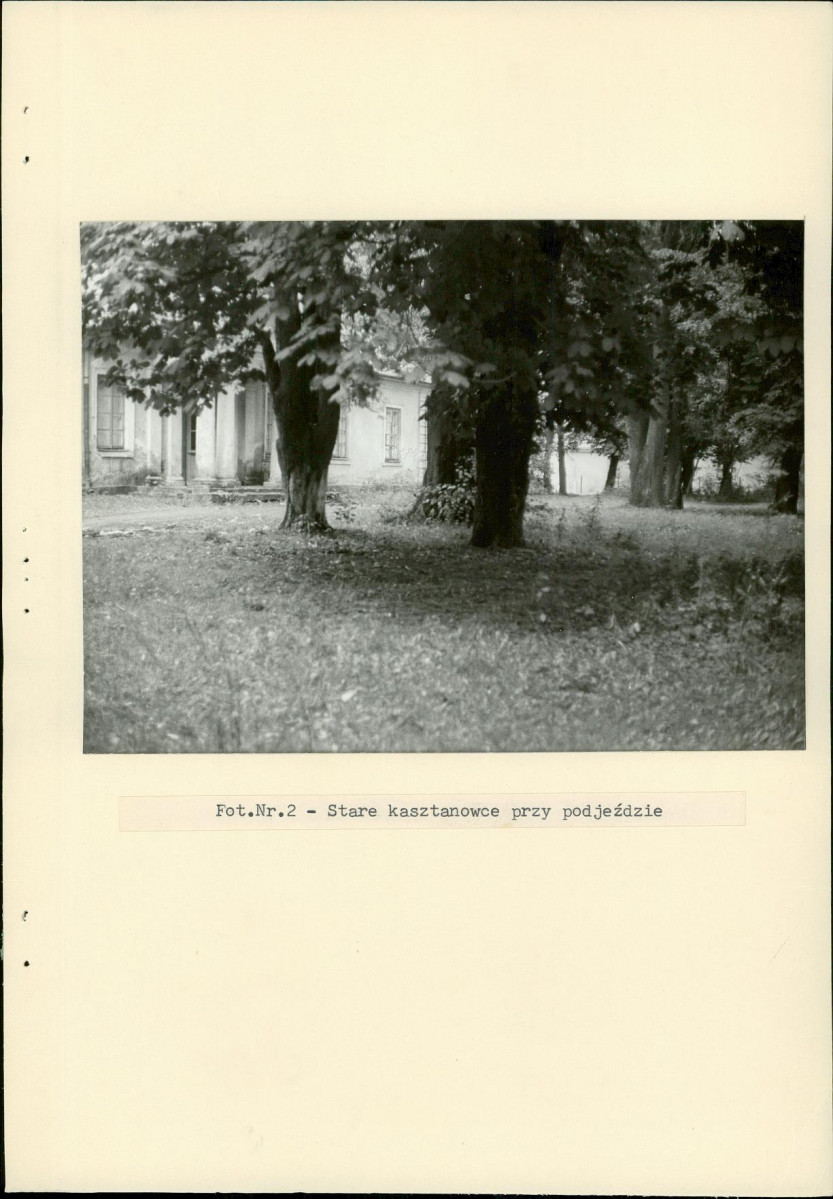 Ewidencja parkowa, skan nr 23