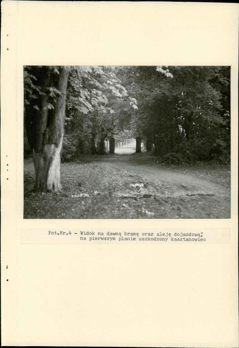 Ewidencja parkowa, skan nr 25