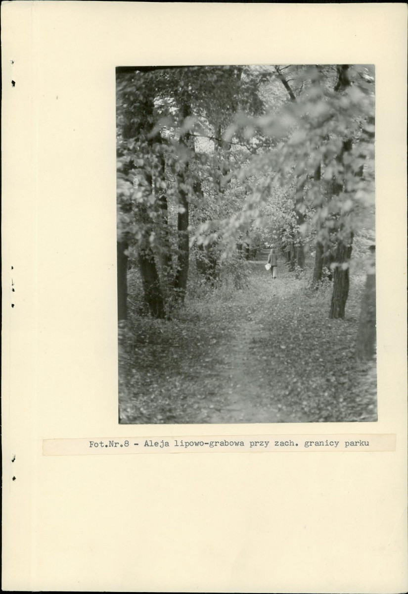 Ewidencja parkowa, skan nr 29