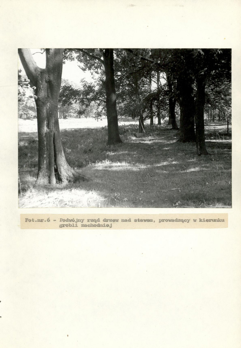 Ewidencja parkowa, skan nr 28