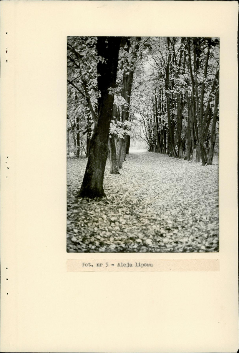 Ewidencja parkowa, skan nr 23