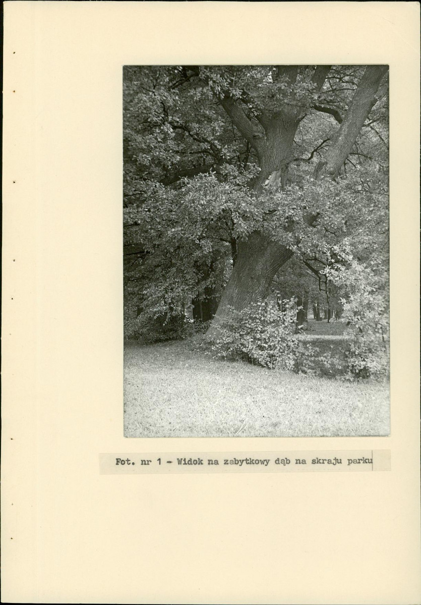 Ewidencja parkowa, skan nr 20
