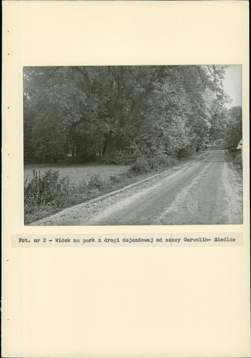Ewidencja parkowa, skan nr 21