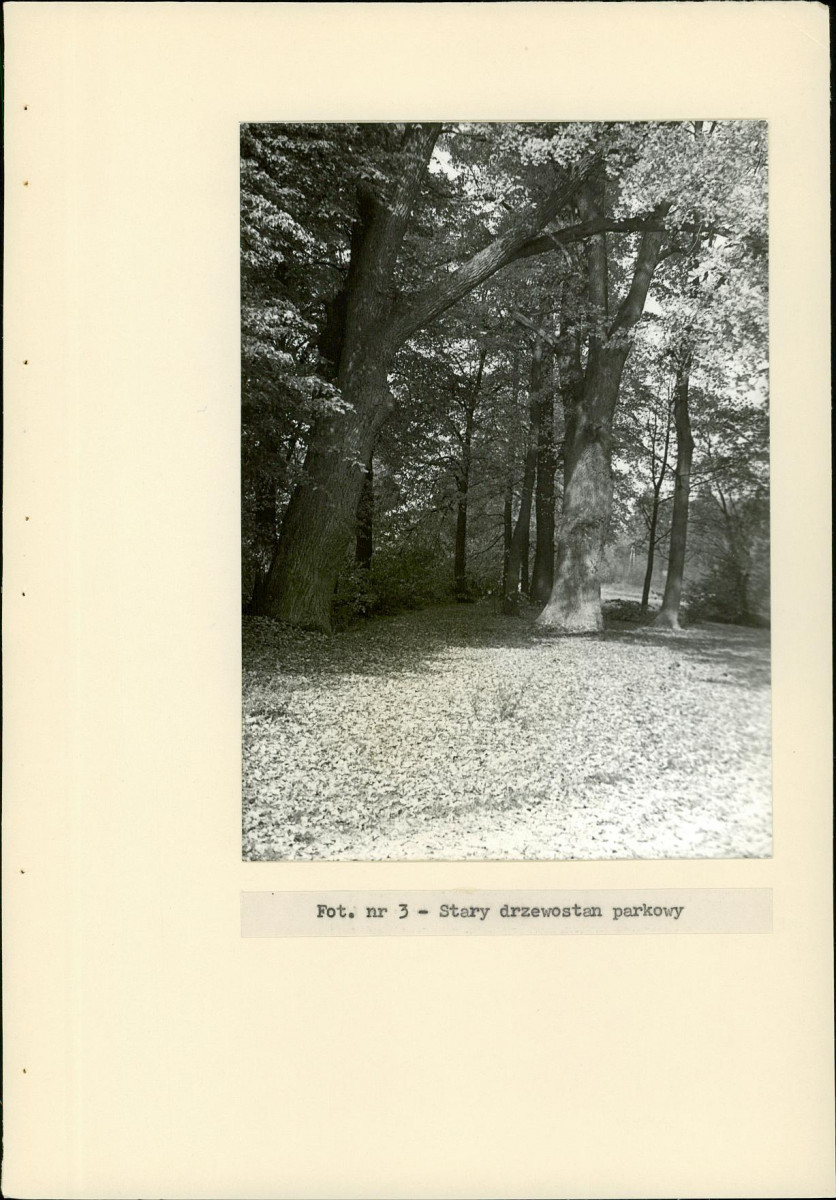 Ewidencja parkowa, skan nr 22