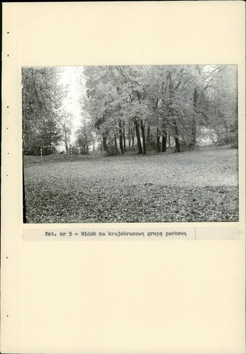 Ewidencja parkowa, skan nr 24