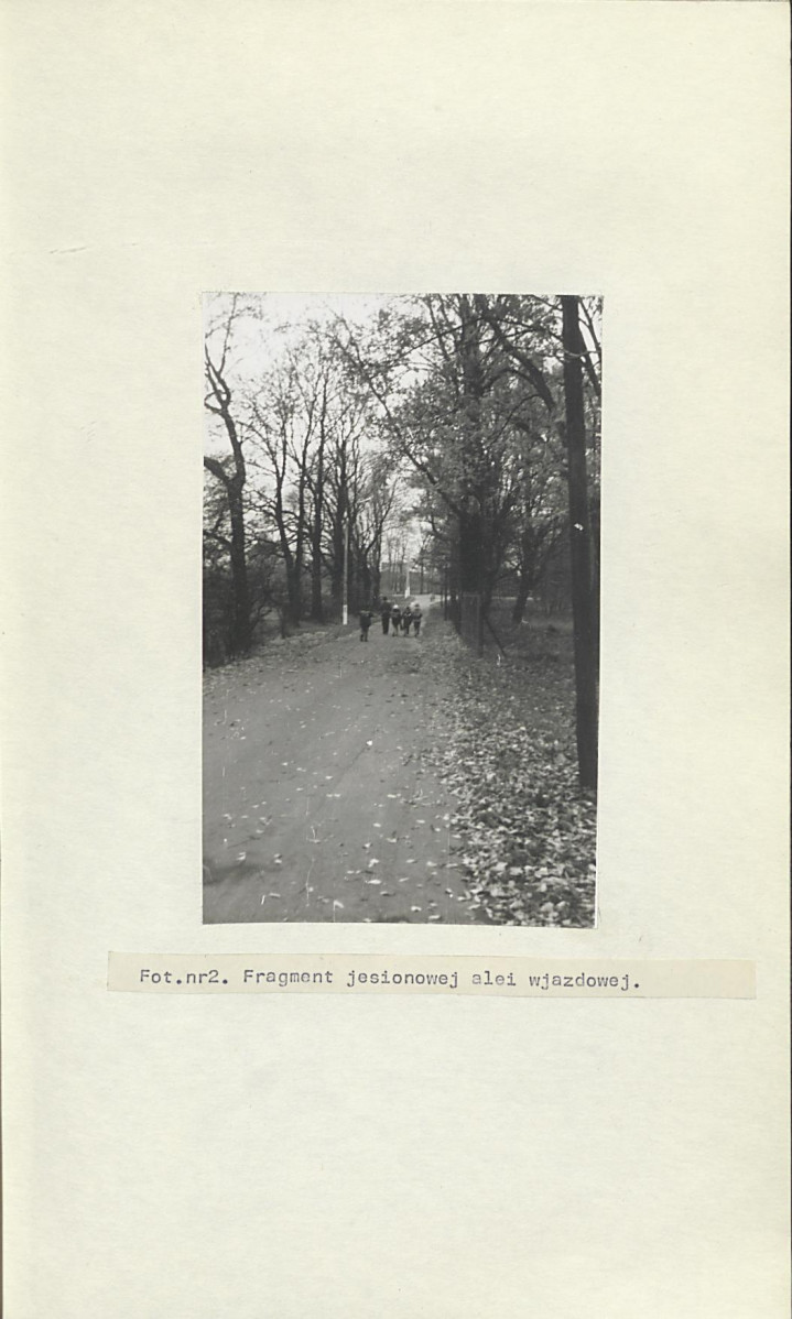 Ewidencja parkowa, skan nr 19
