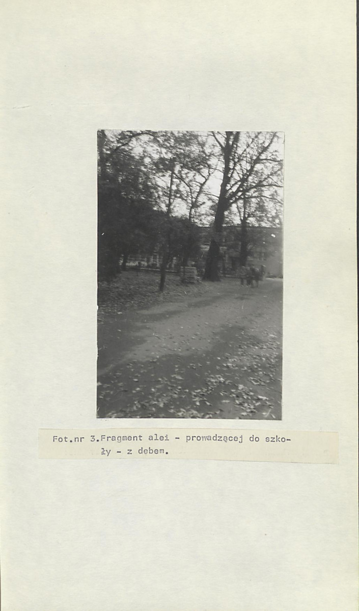Ewidencja parkowa, skan nr 20