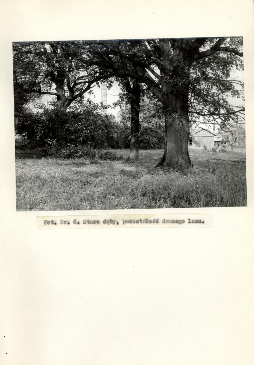 Ewidencja parkowa, skan nr 26