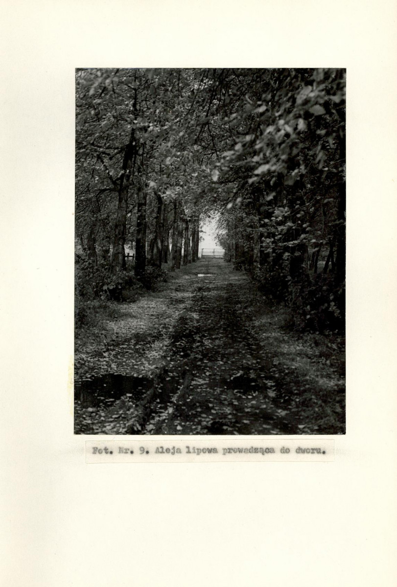 Ewidencja parkowa, skan nr 29