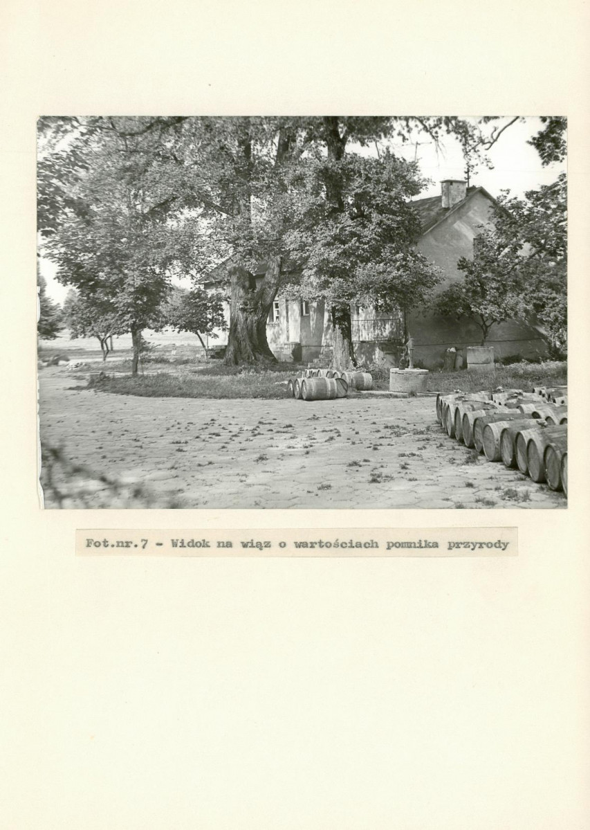 Ewidencja parkowa, skan nr 29