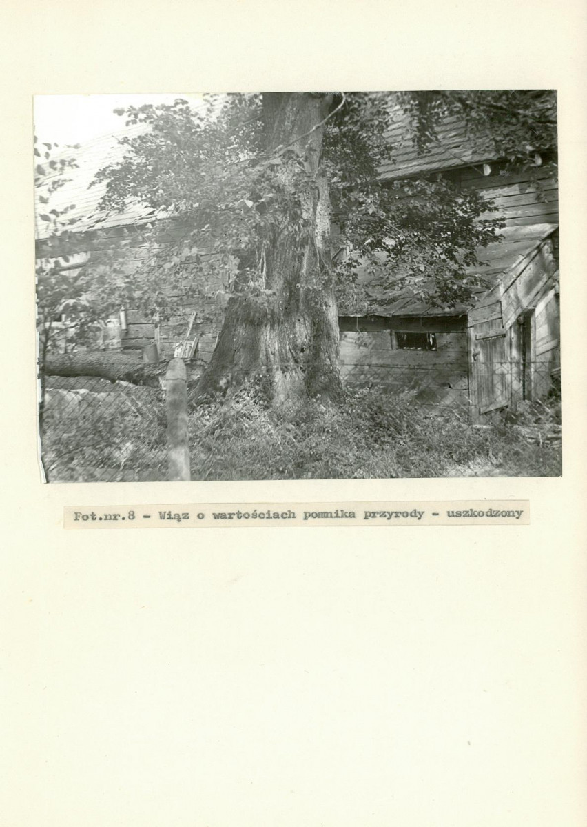 Ewidencja parkowa, skan nr 30
