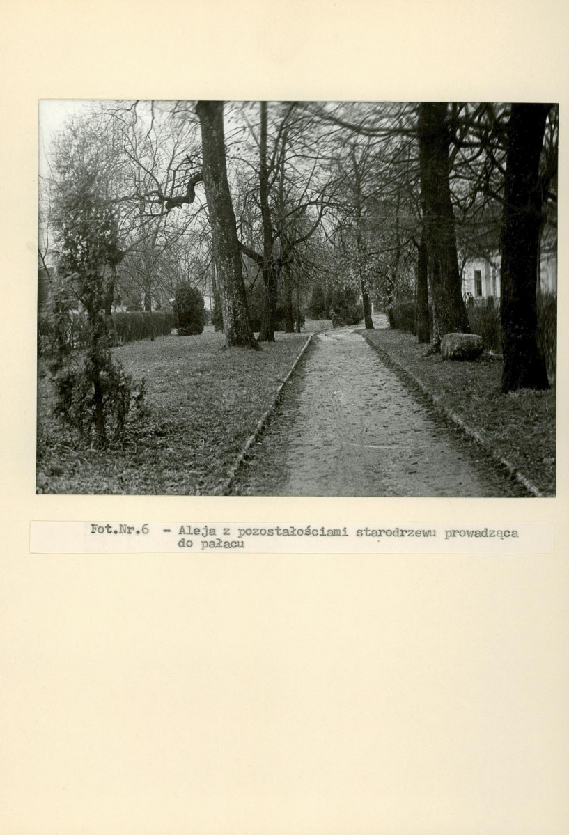 Ewidencja parkowa, skan nr 32