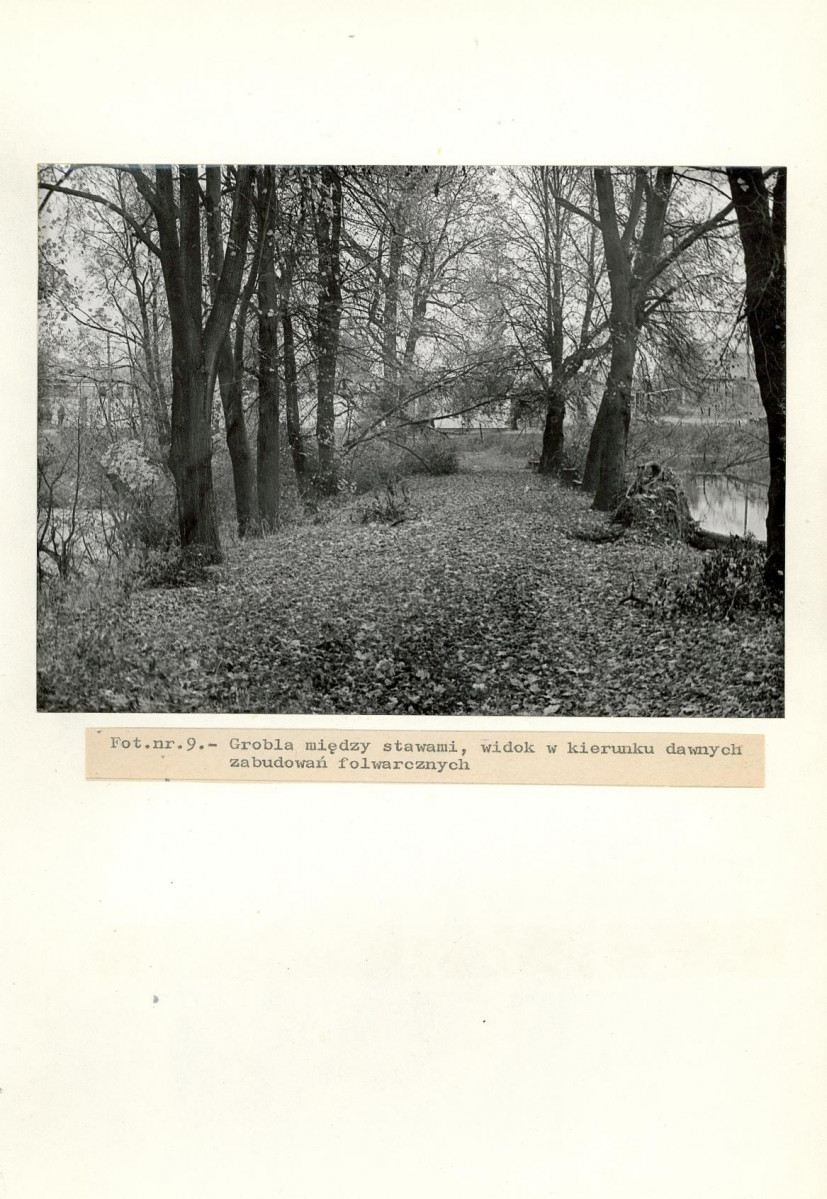 Ewidencja parkowa, skan nr 31