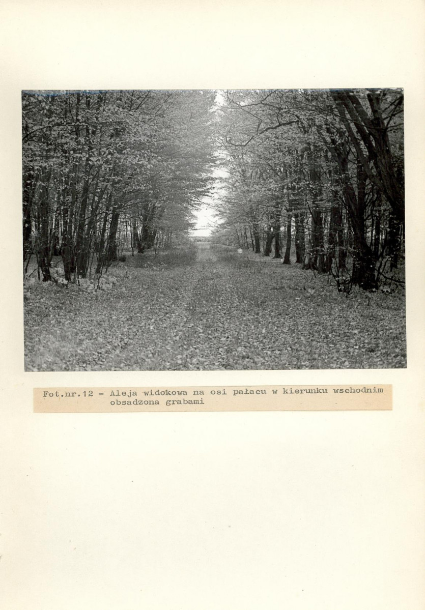 Ewidencja parkowa, skan nr 34