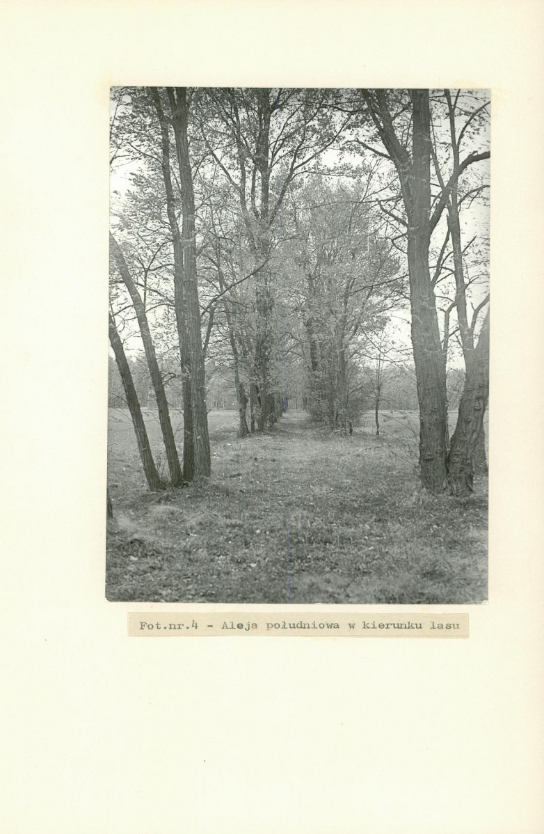 Ewidencja parkowa, skan nr 26