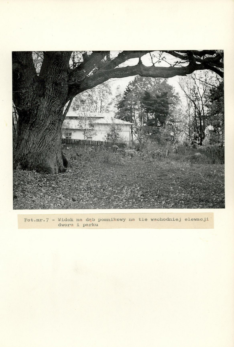 Ewidencja parkowa, skan nr 29