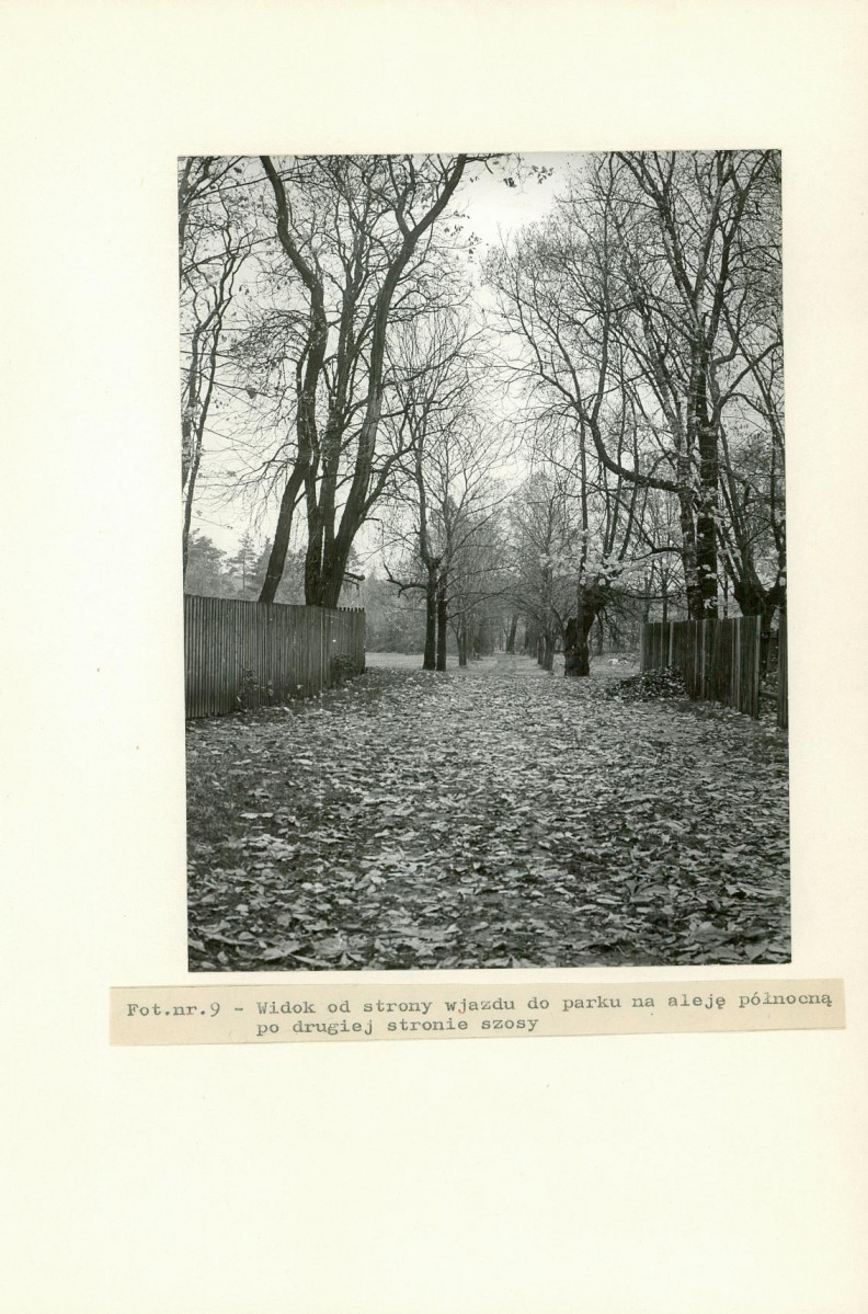 Ewidencja parkowa, skan nr 31