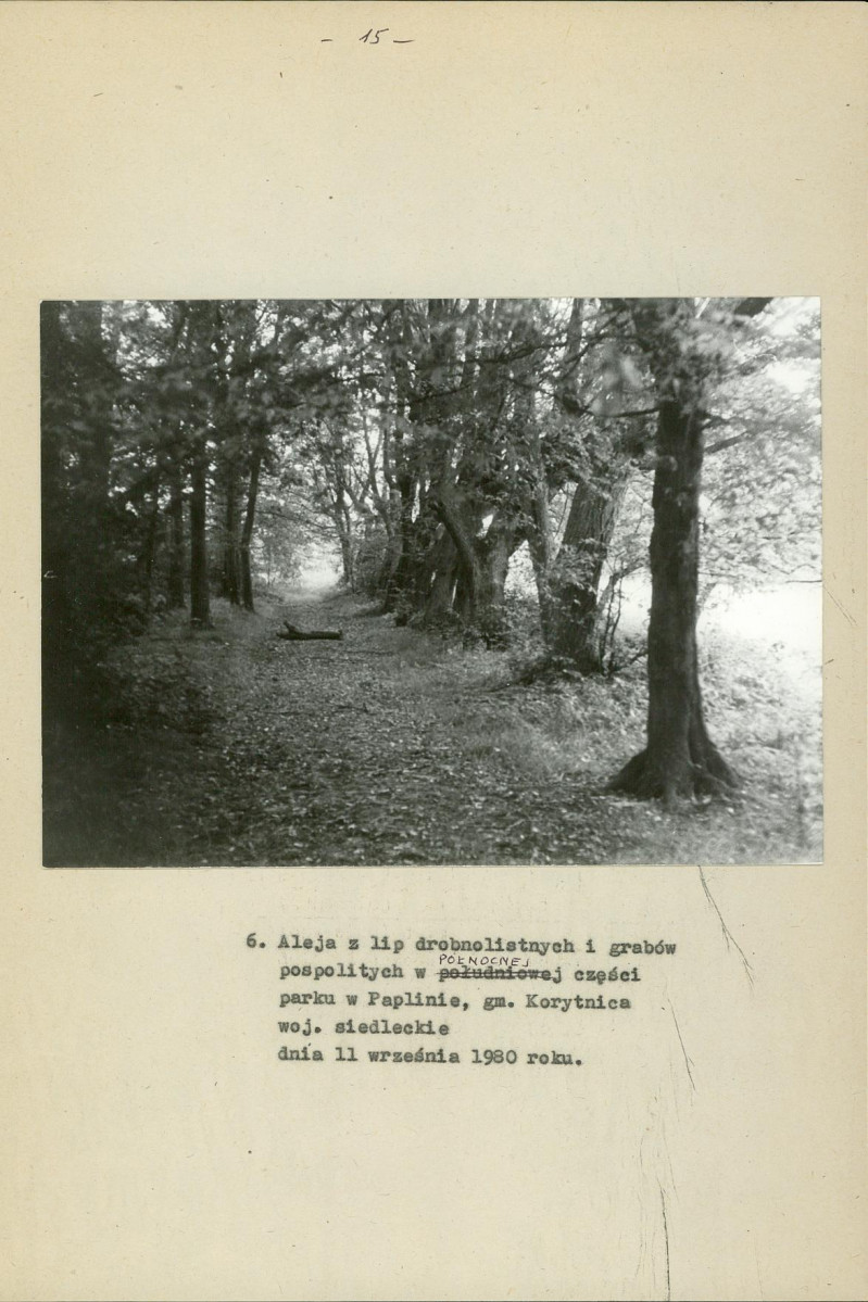 Ewidencja parkowa, skan nr 21