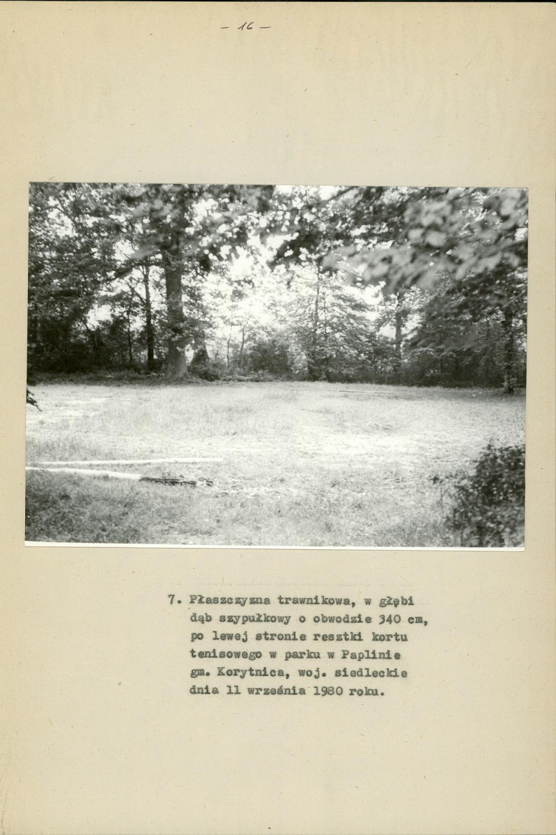 Ewidencja parkowa, skan nr 22