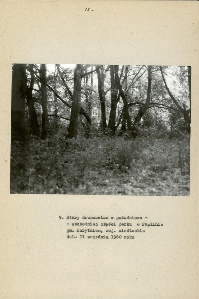 Ewidencja parkowa, skan nr 24