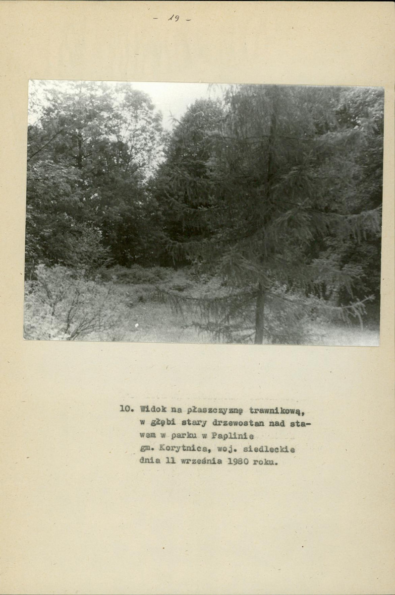 Ewidencja parkowa, skan nr 25