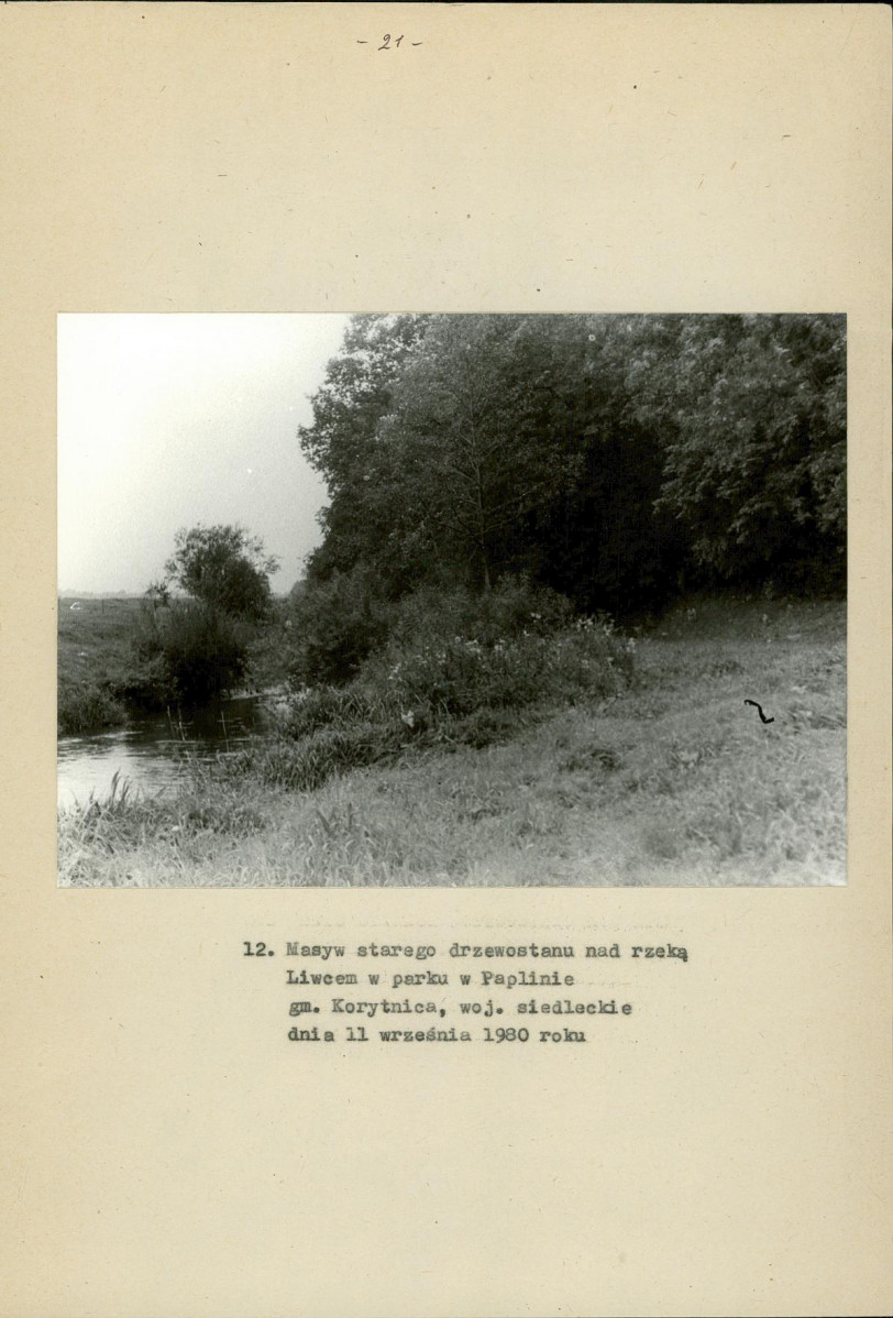 Ewidencja parkowa, skan nr 27