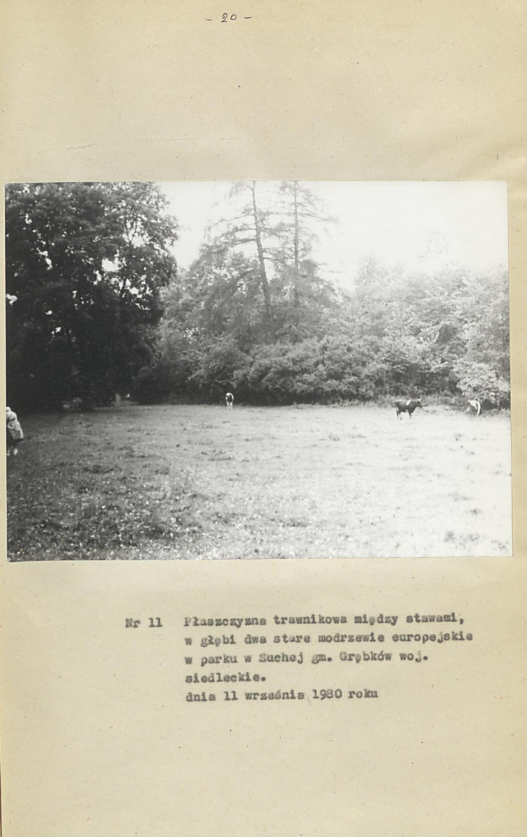 Ewidencja parkowa, skan nr 26