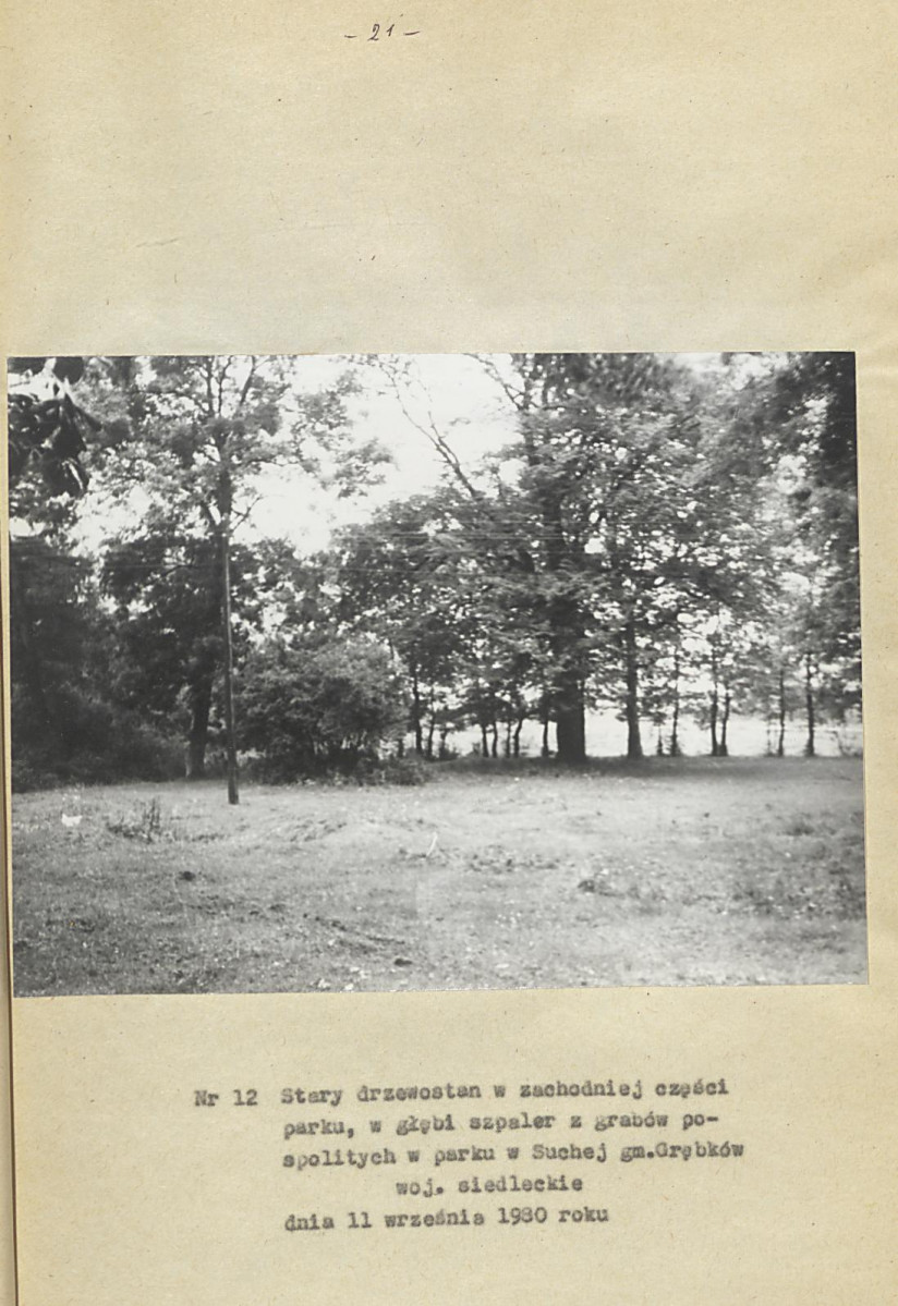 Ewidencja parkowa, skan nr 27