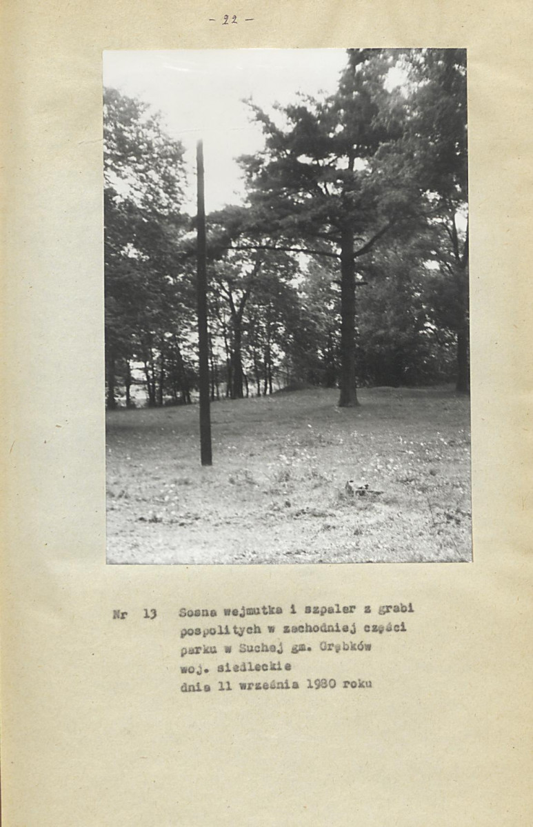 Ewidencja parkowa, skan nr 28