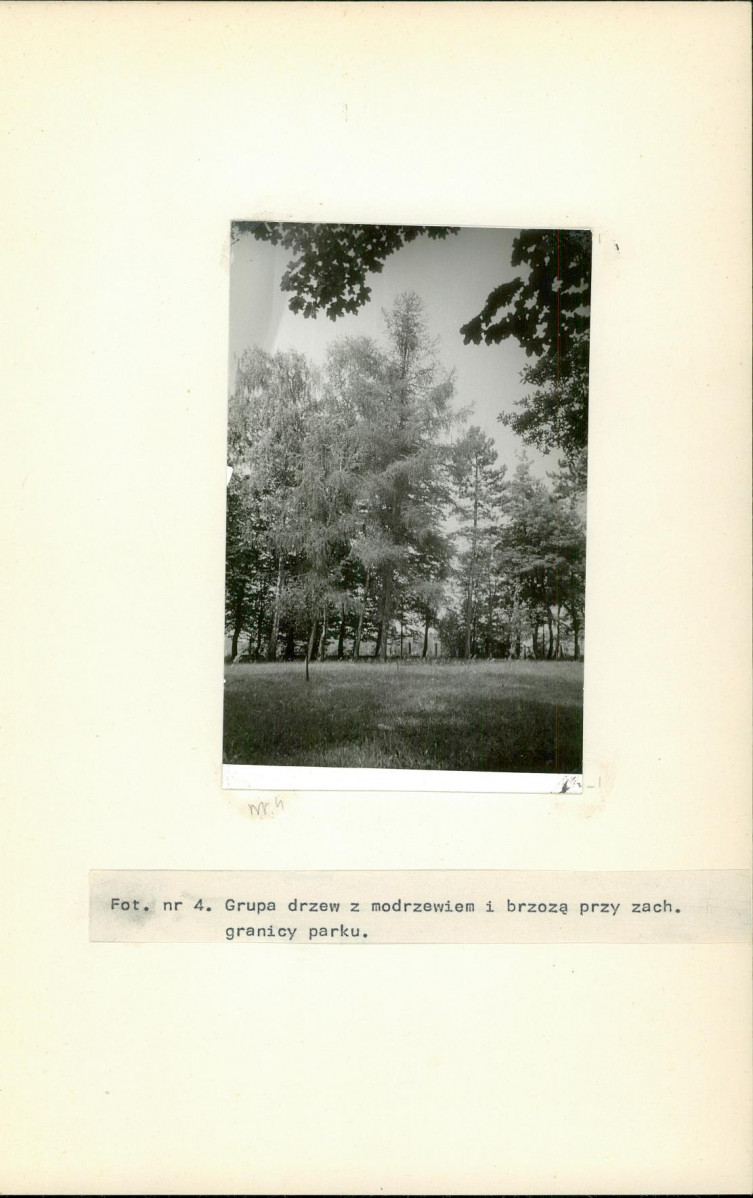 Ewidencja parkowa, skan nr 22
