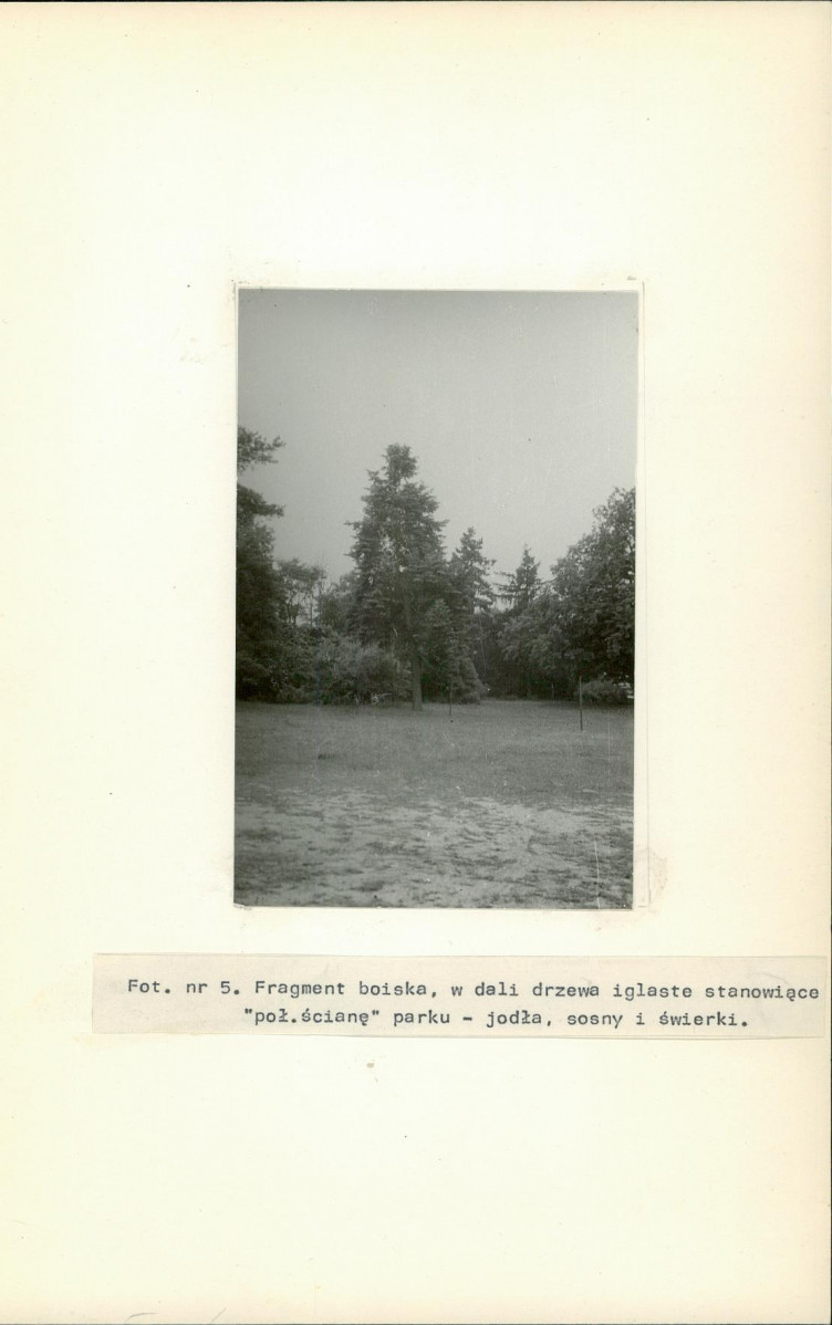 Ewidencja parkowa, skan nr 23