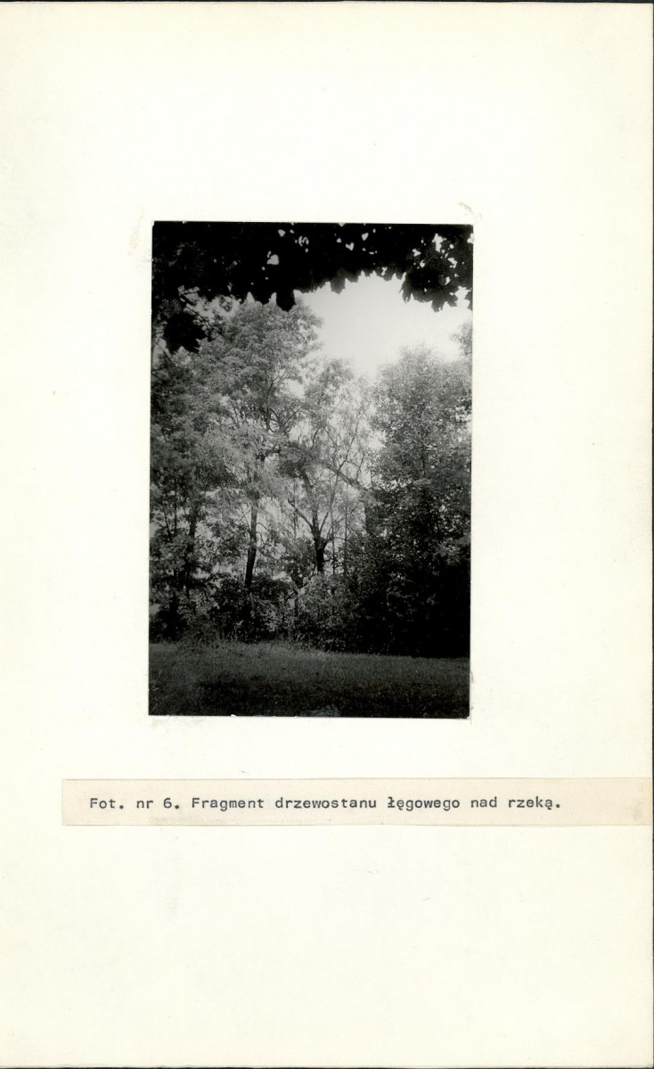 Ewidencja parkowa, skan nr 24