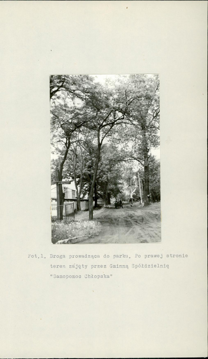 Ewidencja parkowa, skan nr 17