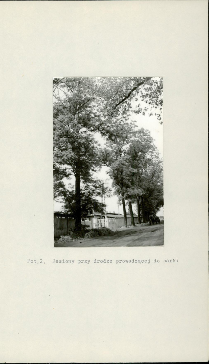 Ewidencja parkowa, skan nr 18